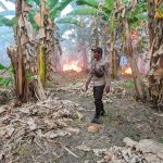 Saat Patroli Personel Polsek Wewiku Berhasil Padamkan Kebakaran Lahan IMG-20231007-WA0003