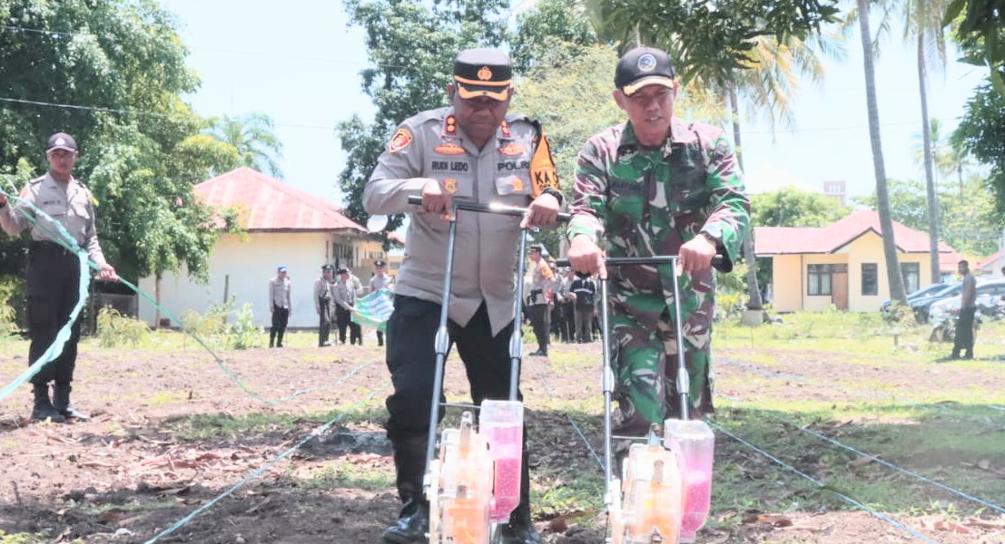 Wujudkan Ketahanan Pangan Polres Malaka Manfaatkan Lahan Kosong Tanam Jagung 