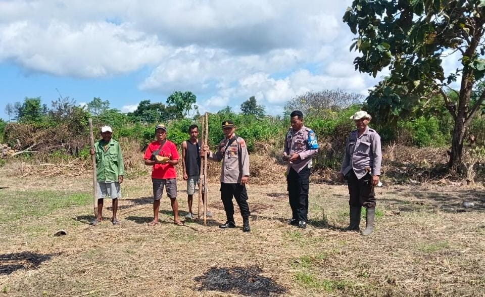 Polsek Malaka Barat Dukung Program Ketahanan Pangan Lewat Monitoring Penanaman Jagung di Desa Umatoos