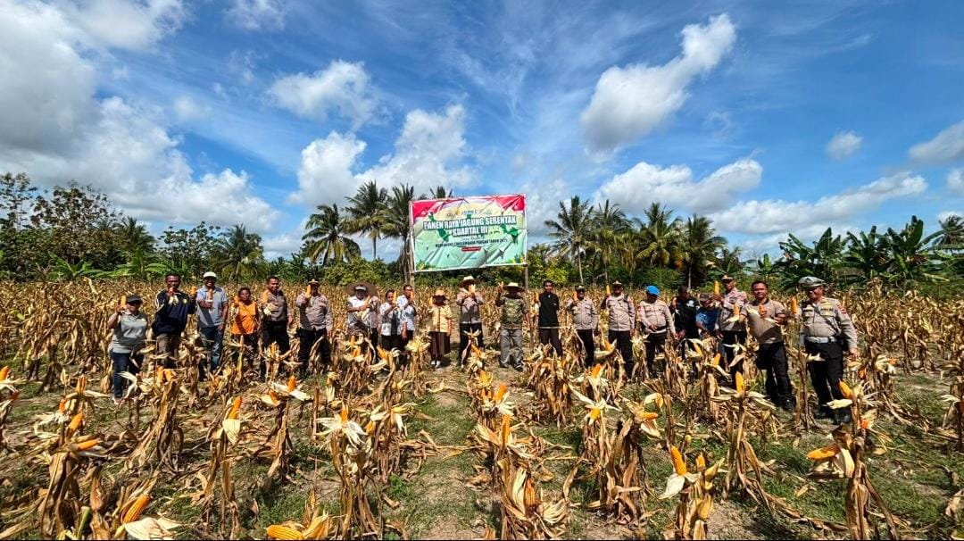 Polres Malaka Dukung Ketahanan Pangan Nasional, Melalui Panen Raya Jagung Serentak Quartal III Tahun 2025