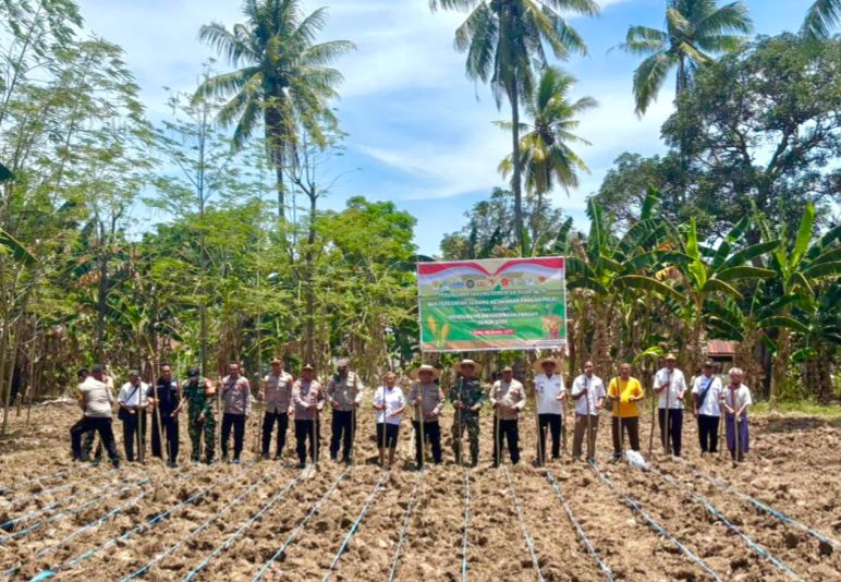 Polres Malaka Dukung Ketahanan Pangan Lewat Penanaman Jagung Quartal IV di Malaka Timur