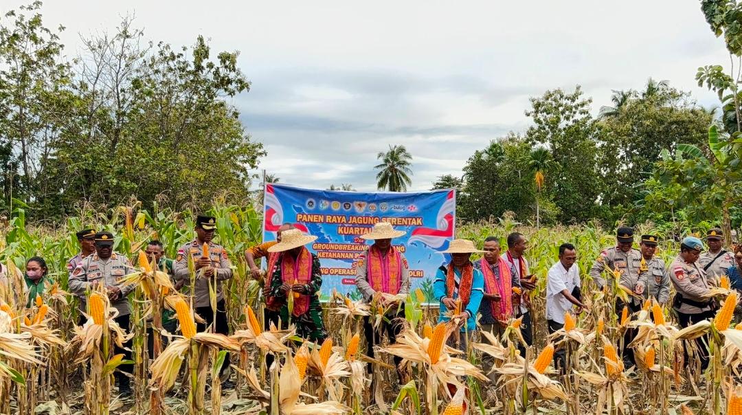 Dukung Swasembada Pangan 2026, Polres Malaka Hadir Bersama Petani dalam Panen Raya Jagung